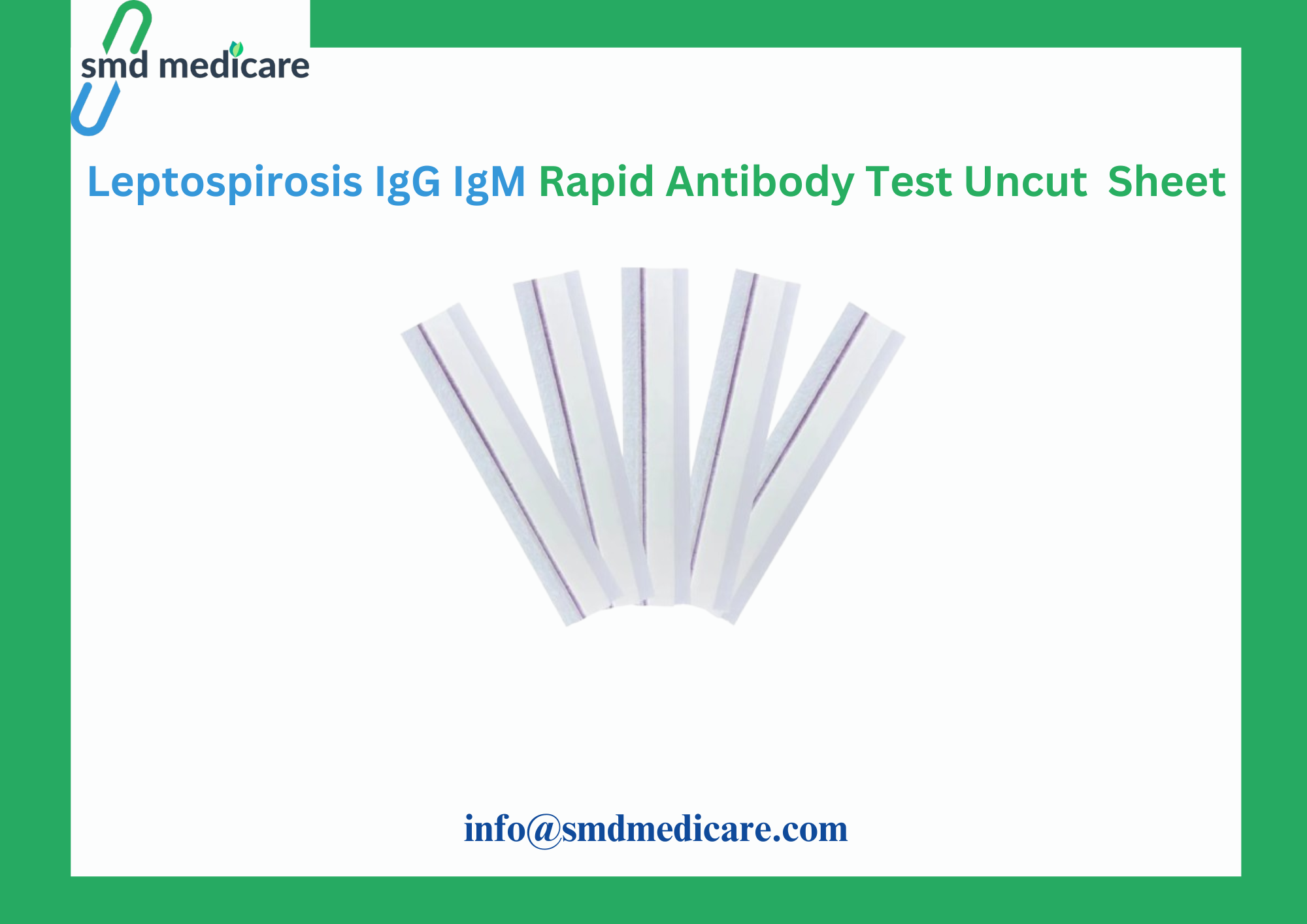 leptospira IGG IGM